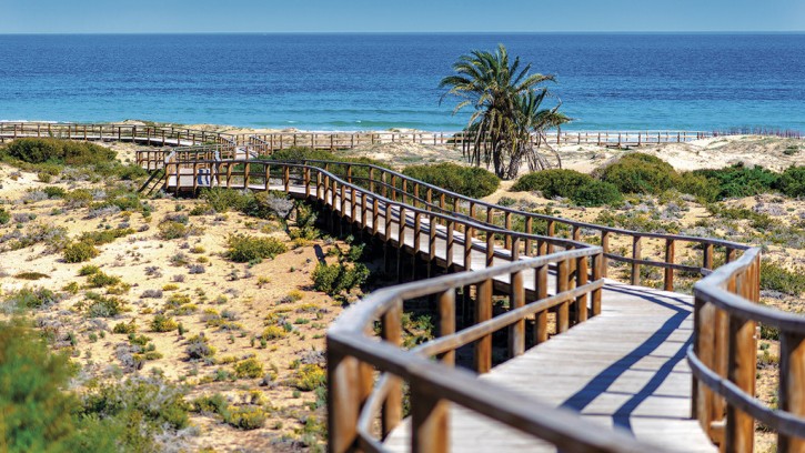 Mieszkanie Sprzedaż Costa Blanca Monforte del Cid 4