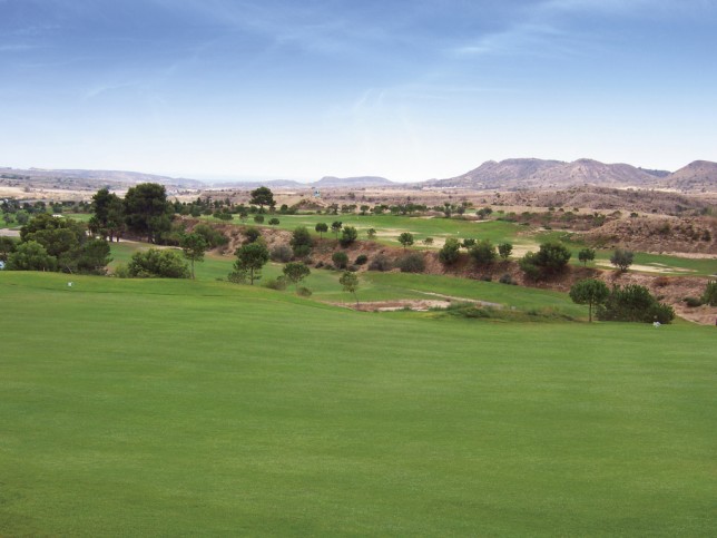 Mieszkanie Sprzedaż Costa Blanca Monforte del Cid 19