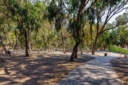 Mieszkanie Sprzedaż Costa Blanca Guardamar del Segura