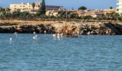Mieszkanie Sprzedaż Costa Blanca San Pedro del Pinatar