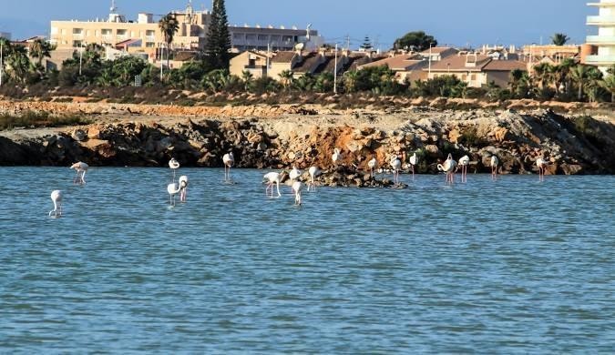 Mieszkanie Sprzedaż Costa Blanca San Pedro del Pinatar 7