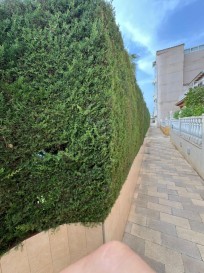 Mieszkanie Sprzedaż Costa Blanca Punta Prima