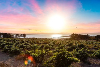 Mieszkanie Sprzedaż Costa Blanca La Mata