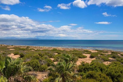 Mieszkanie Sprzedaż Costa Blanca La Mata