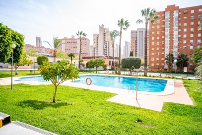 Mieszkanie Sprzedaż Costa Blanca Benidorm