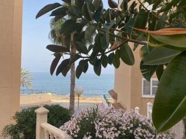 Mieszkanie Sprzedaż Costa Blanca Torrevieja