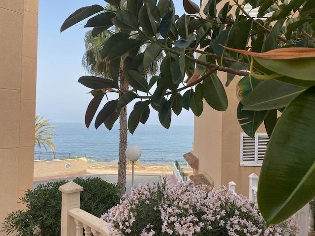 Mieszkanie Sprzedaż Costa Blanca Torrevieja 4