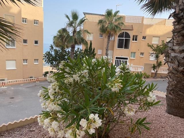 Mieszkanie Sprzedaż Costa Blanca Torrevieja 7