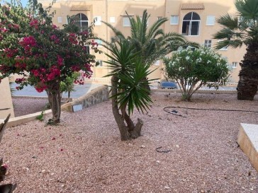 Mieszkanie Sprzedaż Costa Blanca Torrevieja