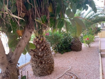 Mieszkanie Sprzedaż Costa Blanca Torrevieja