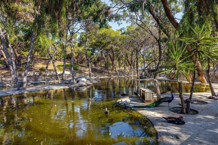 Mieszkanie Sprzedaż Costa Blanca Guardamar del Segura 7