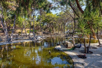 Mieszkanie Sprzedaż Costa Blanca Guardamar del Segura